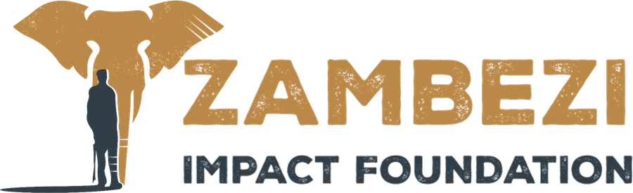 Zambezi Impact Foundation